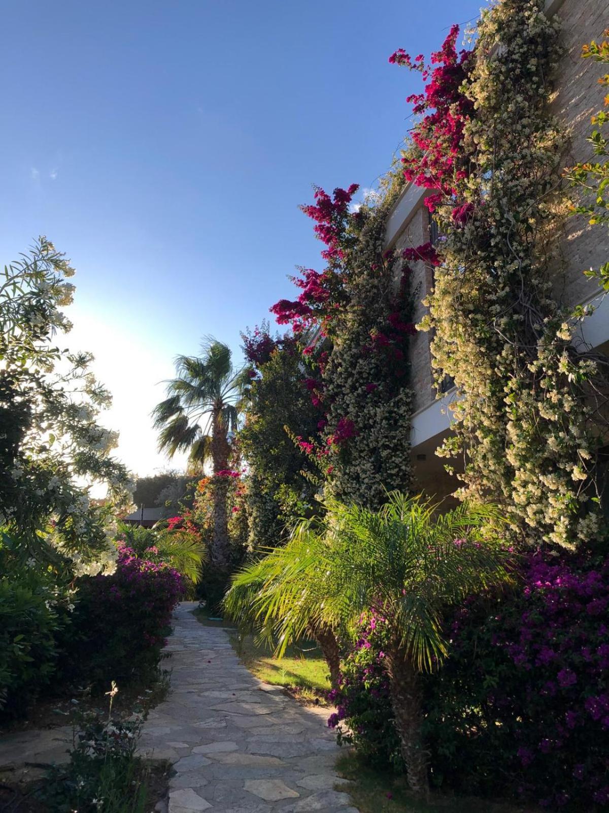 Spektr Boutique Hotel Yalıkavak Esterno foto